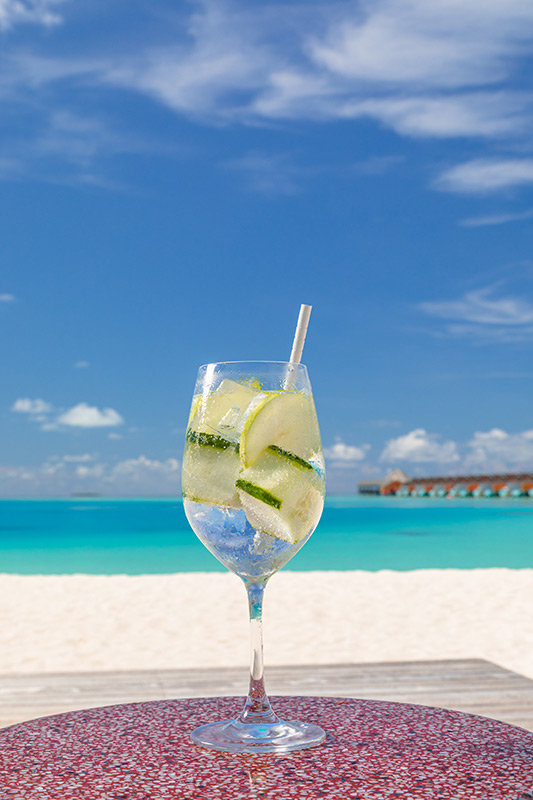 The Standard Huruvalhi Maldives 5*