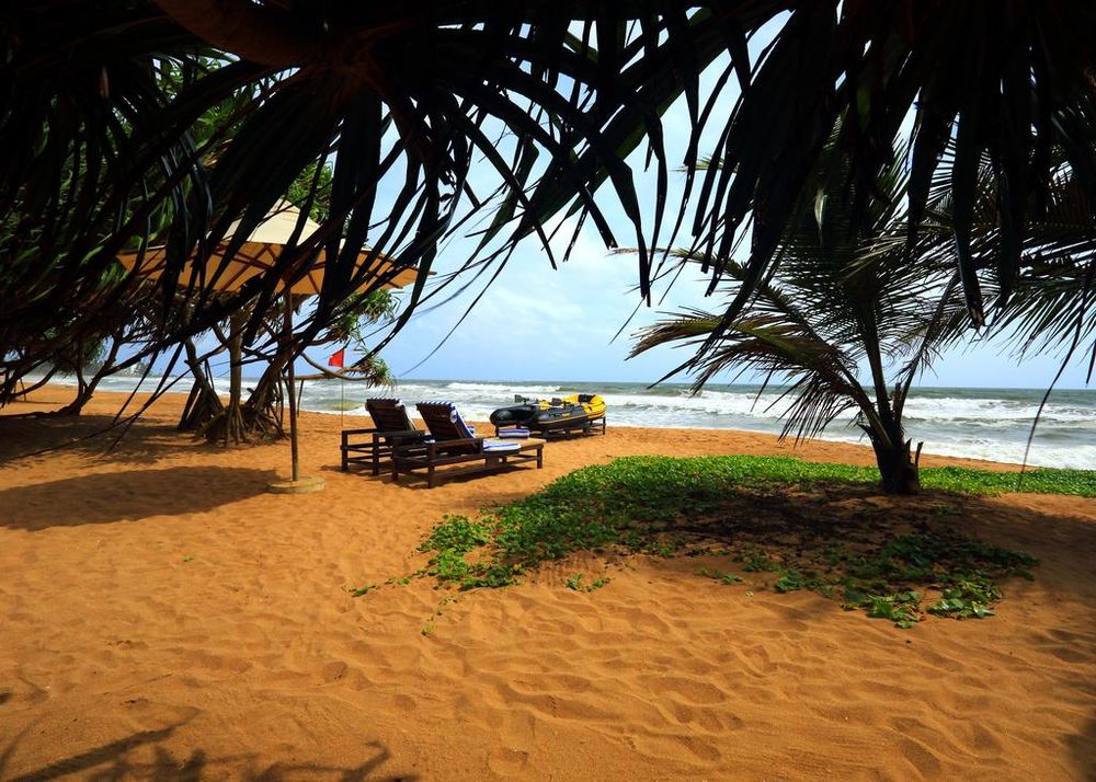 Temple Tree Hotel (Bentota)