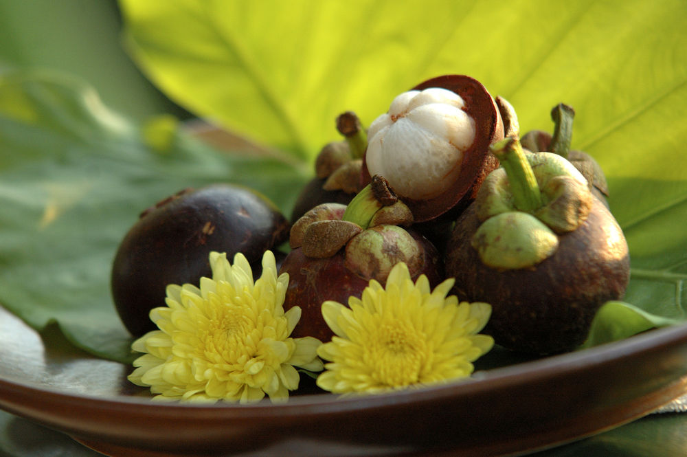 Mangosteen Ayurveda & Wellness 5*