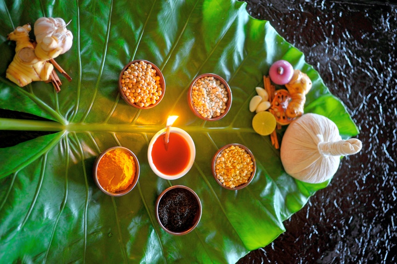 Mangosteen Ayurveda & Wellness 5*