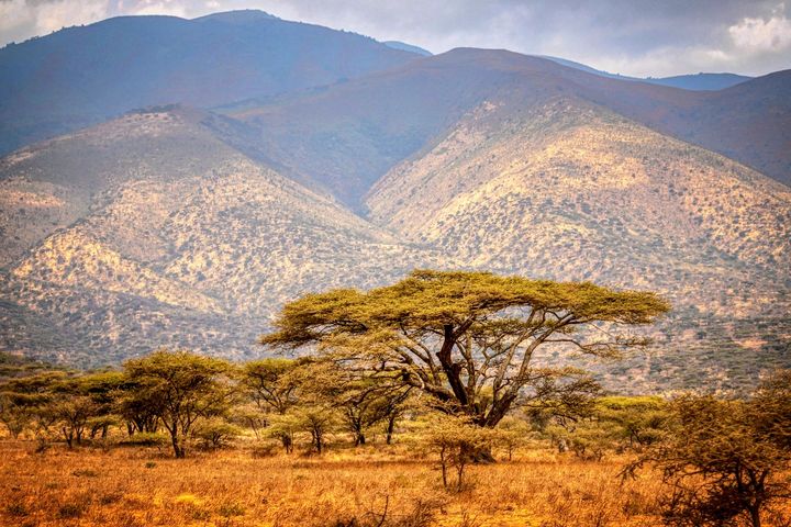Групповой сафари-тур в Танзанию
