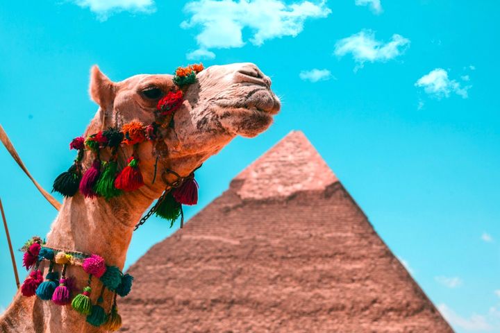 Групповые туры в Египет