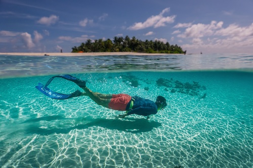 Мальдивы: Sun Siyam Vilu Reef 5*, погружения