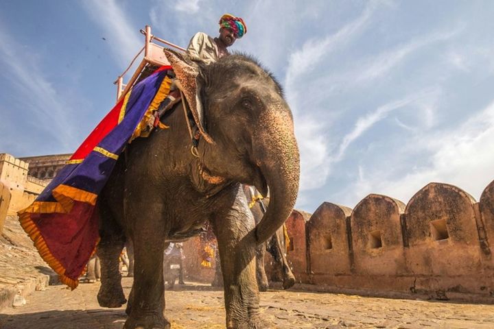 Золотой треугольник - туры в Индию