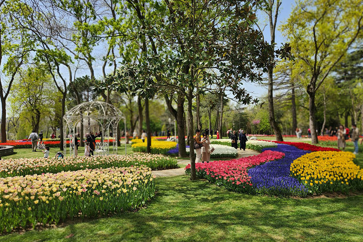 Туры в Стамбул