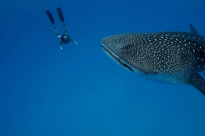 Экскурсионный тур на Филиппины