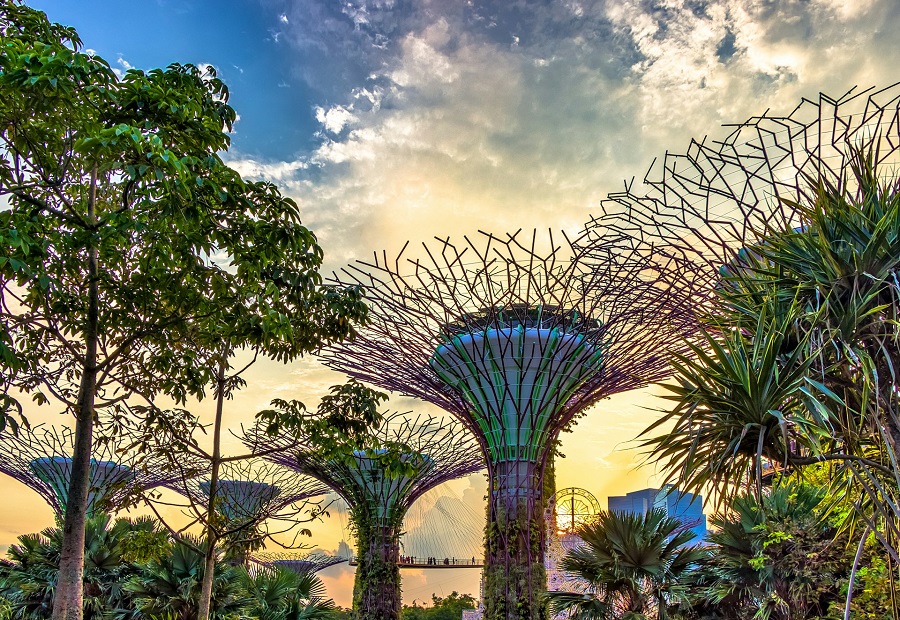 Сингапур: парк The Gardens by the Bay