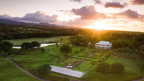 Маврикий: Heritage Le Telfair Golf & SPA, поля для гольфа