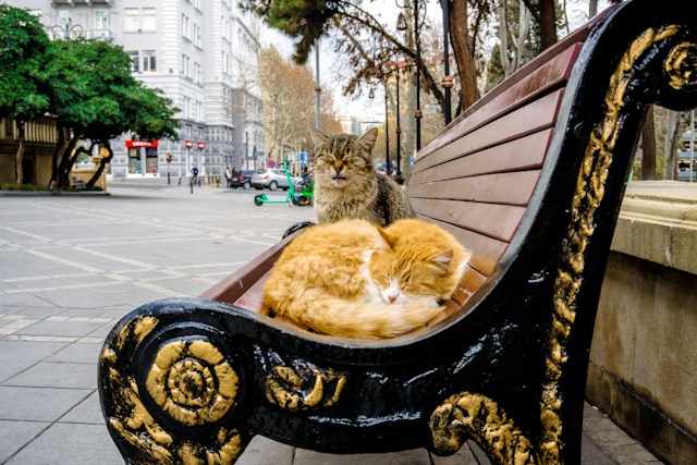 Азербайджан: Баку