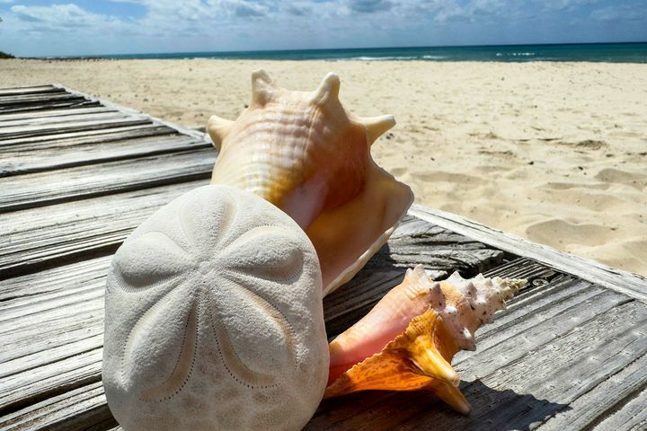 Комбинированные туры в Танзанию