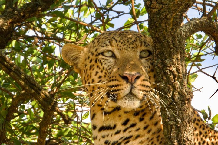 Комбинированные туры в Танзанию