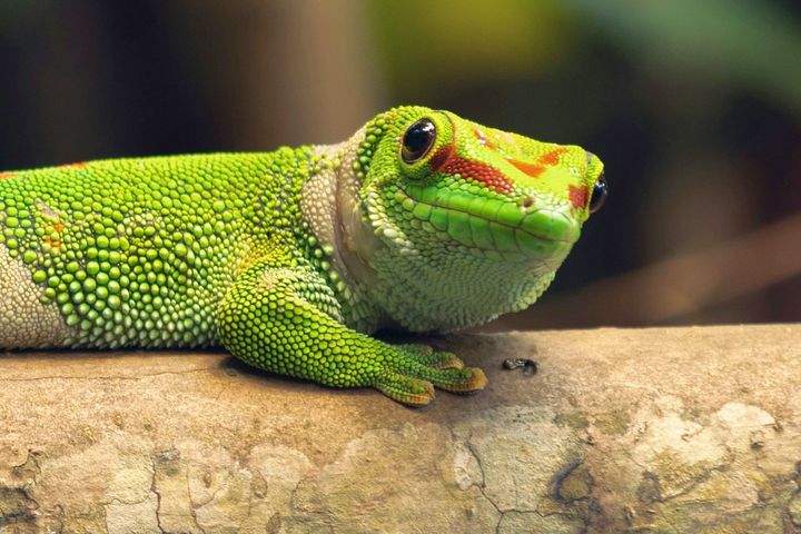 Туры на Мадагаскар