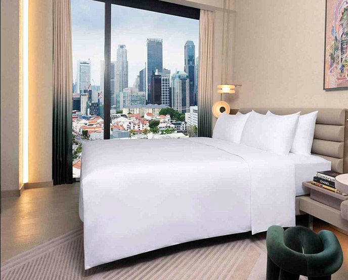 Сингапур: Mondrian Singapore Duxton 5*