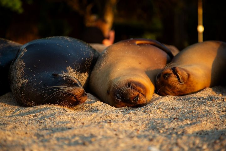 Туры в Эквадор