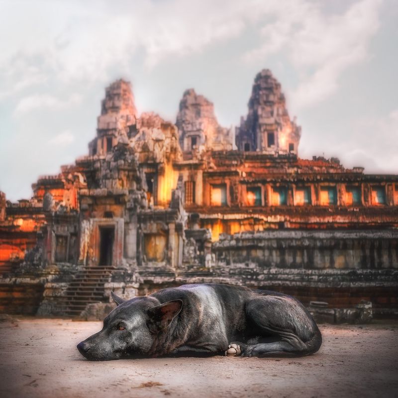 Камбоджа: Сием Рип, Krong Siem Reap