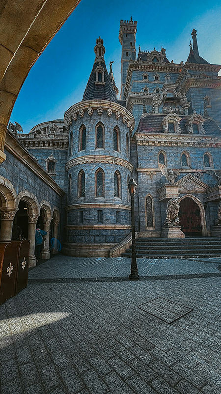 Япония: Токио, Disneyland