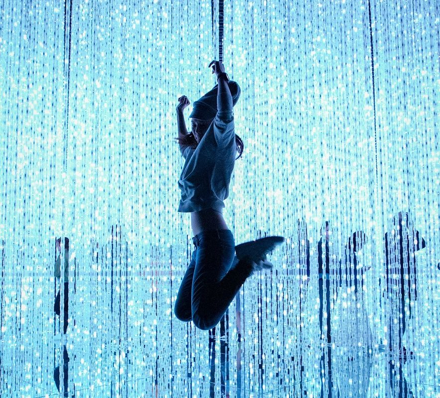 Япония: Токио, TeamLab