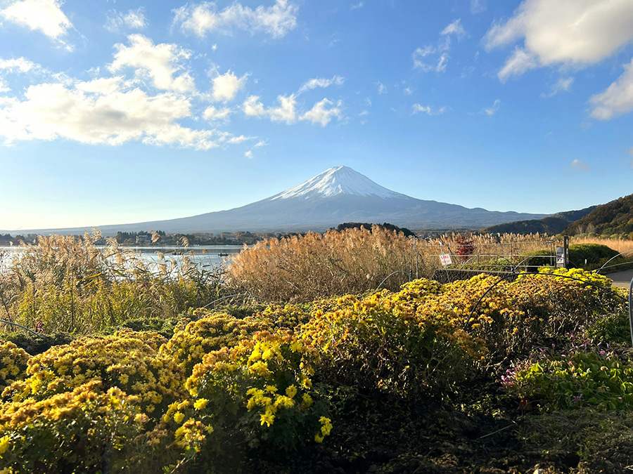 Япония: Фудзи