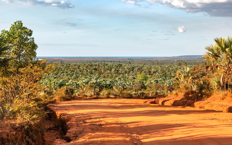 Мадагаскар: Красные цинги