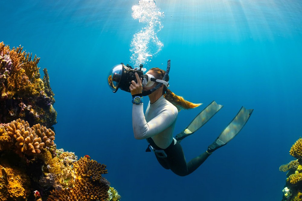 Мальдивы: Constance Halaveli Maldives 5*, развлечения
