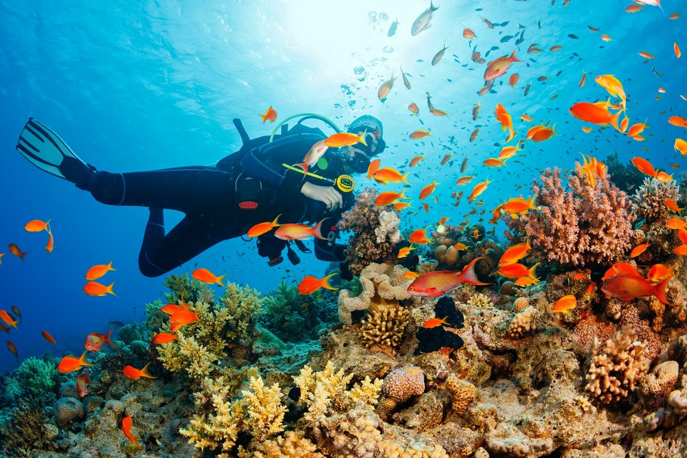 Мальдивы: Constance Halaveli Maldives 5, дайв-центр