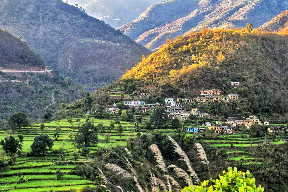 Индия: Ришикеш, Ашрам Yoga Niketan