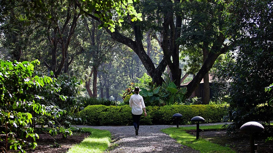 Танзания: Аруша, Arusha Coffee Lodge