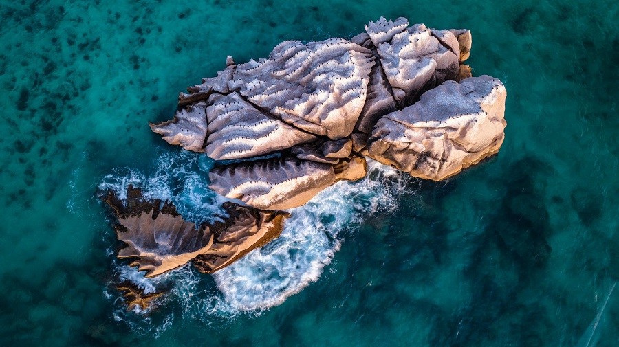 Сейшелы: остров Кузин (Cousine Island)