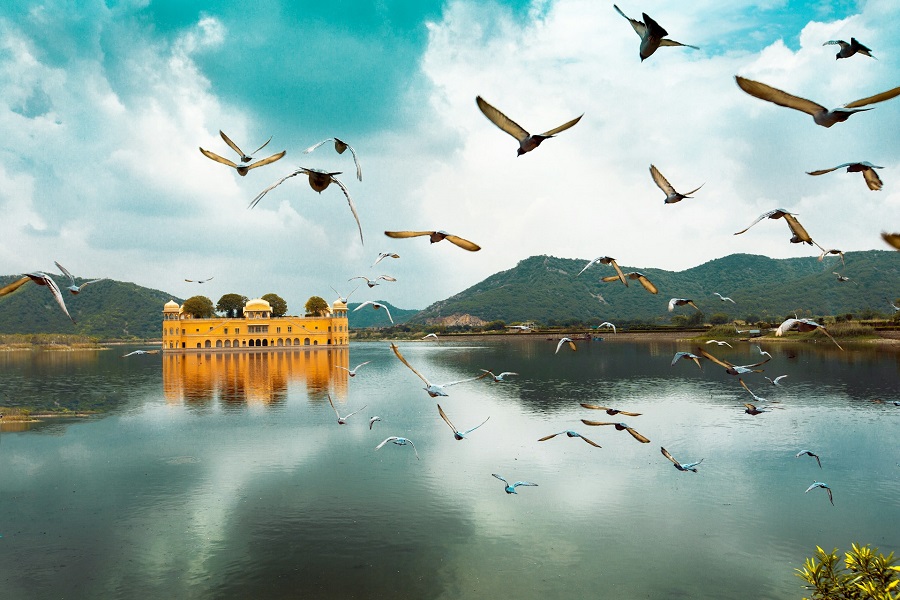Индия: Джайпур, Jal Mahal