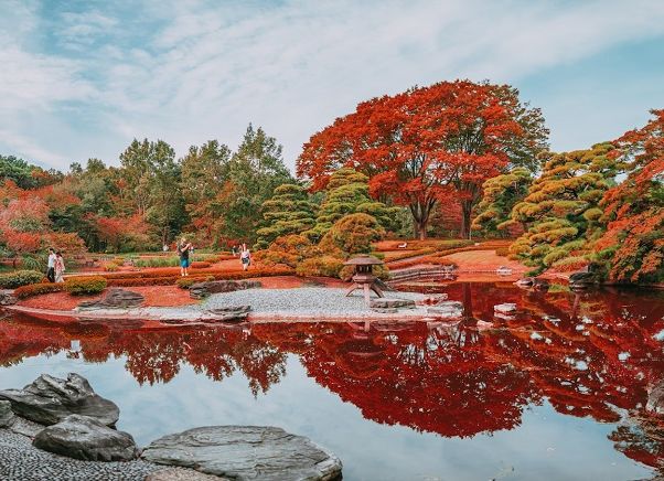 Япония: Токио