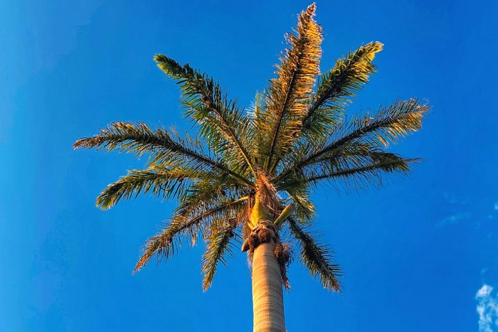 Мадагаскар: Антананариву