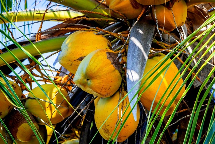 Мадагаскар: Антананариву