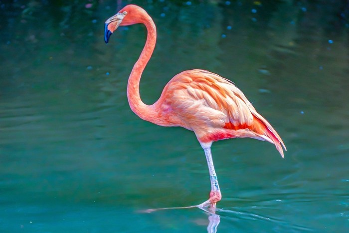 Танзания: озеро Маньяра