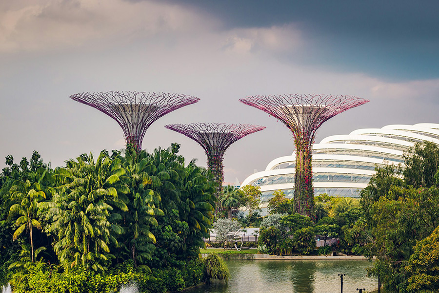 Сингапур: парк Gardens by the Bay
