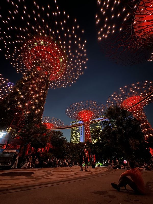 Сингапур: парк The Gardens by the Bay