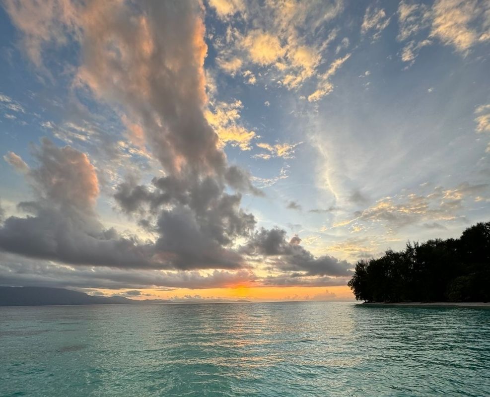 Индонезия: Раджа Ампат, Wai Island Resort