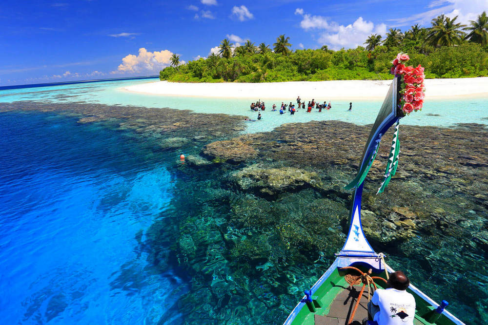 Мальдивы: Ayada Maldives 5*, развлечения