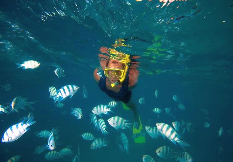 Сейшелы: Cerf Island Resort 4*