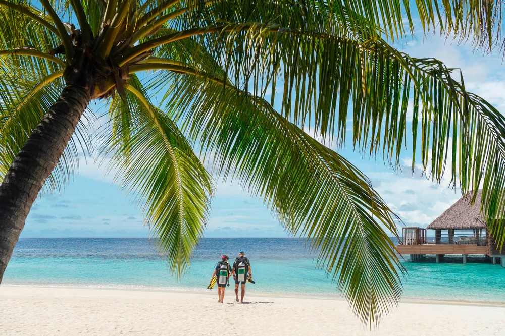 Мальдивы: W Maldives 5* Lux, развлечения