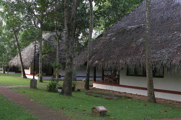 Индия: Marari Beach Resort