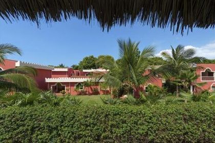 Diamonds Dream of Africa 