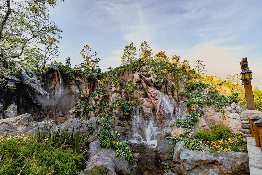 Япония: Токио, Disneysea