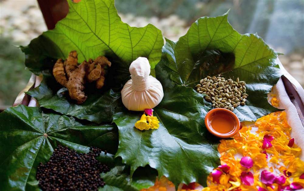 Индия: Ananda in the Himalayas